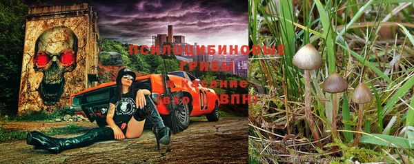 кокс Армянск