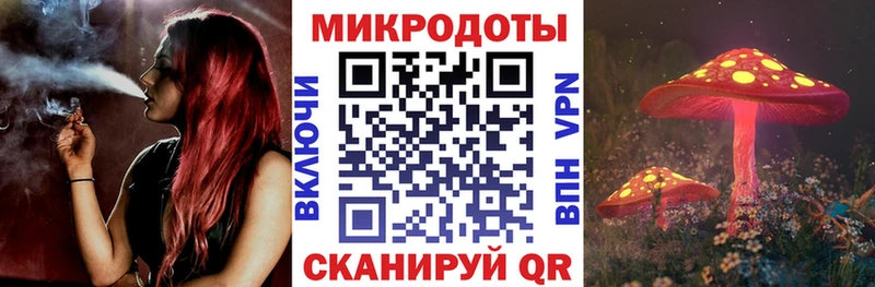 где купить наркоту Кашира Галлюциногенные грибы Psilocybe